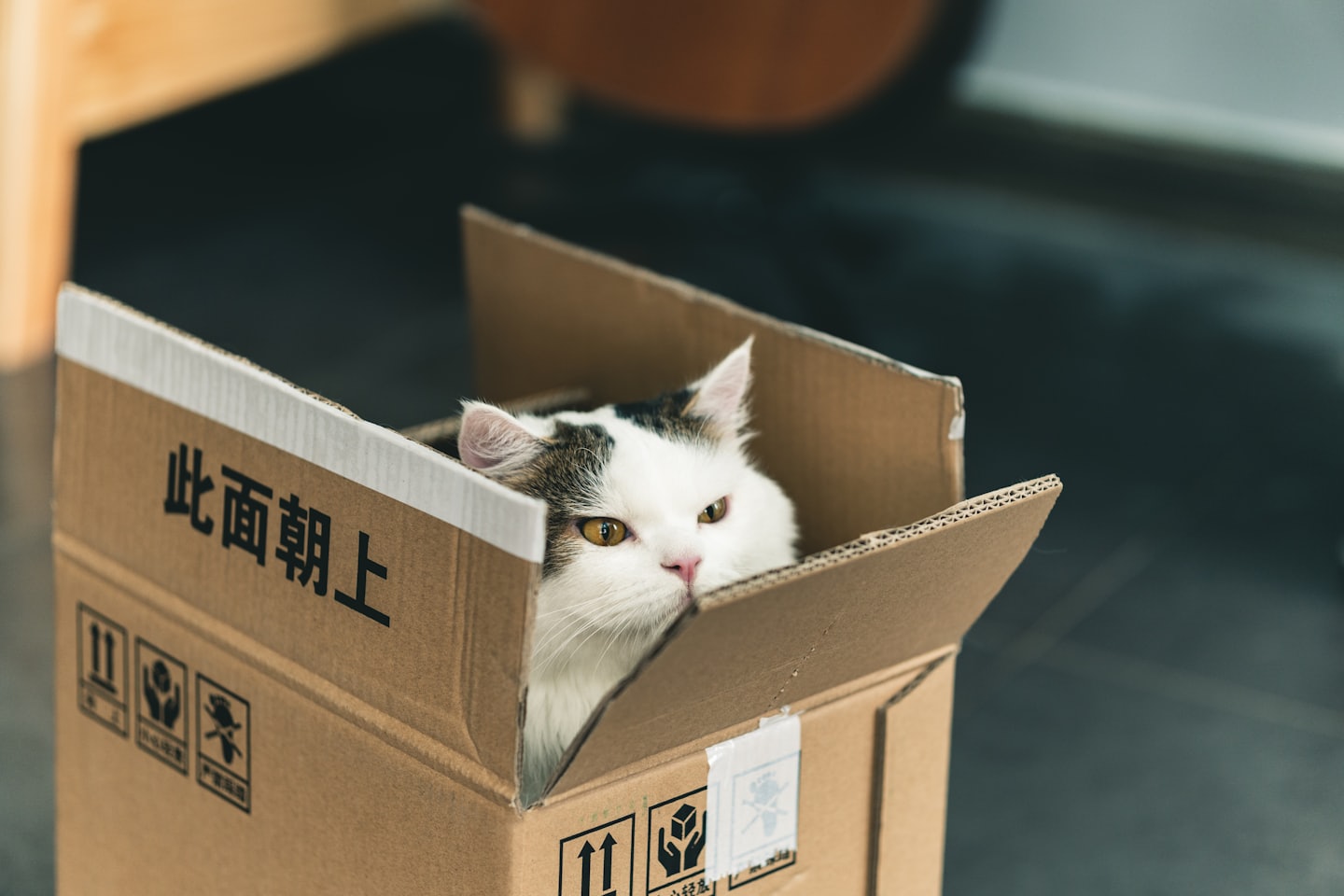 Pet Shipment Tracker C9ede8625ea4203f9abb64a28e31f77fc46699c1